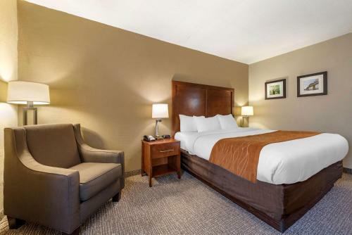 Hotel Comfort Inn Madison