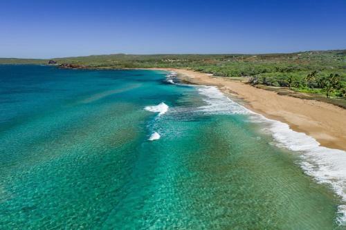 Happy House
