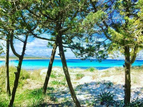 Casavacanza Golfo Aranci