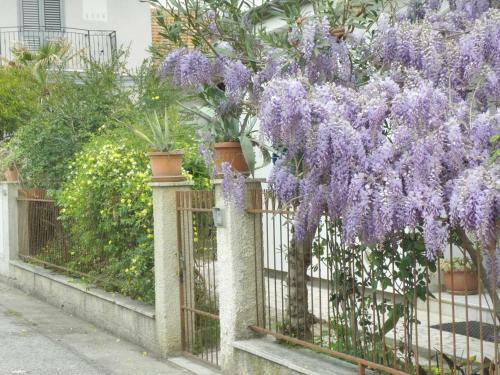 La Suite Di Rita