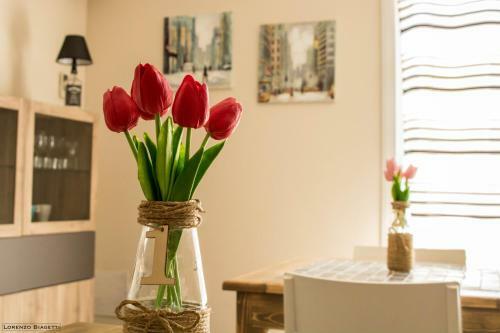B&B Geolja