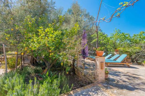 Villa Can Mateu