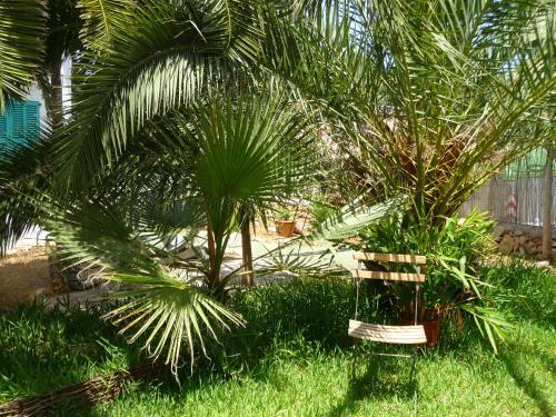 Apartamento Casa Molily