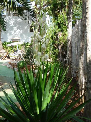 Apartamento Casa Molily