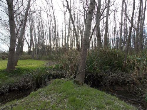 Lodge Zarzamora Caba�as