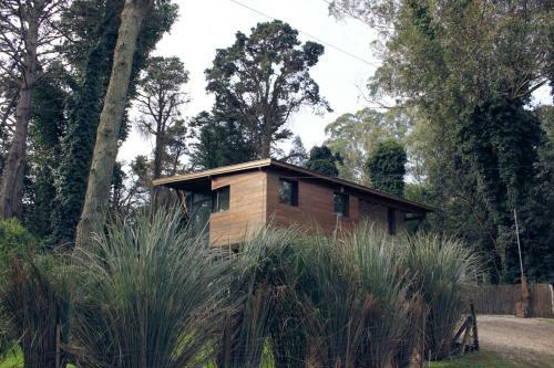 Aft Gallery House