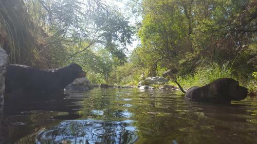 Lodge Caba�as Antillanca