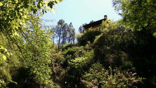 Apartamento Rancho Taxco