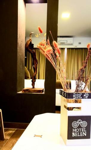 Hotel Bel�n