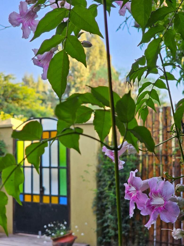 Posada Del Santo Green & Rest - Caba�as
