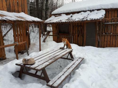 H�bergement De La Montagne St-roch