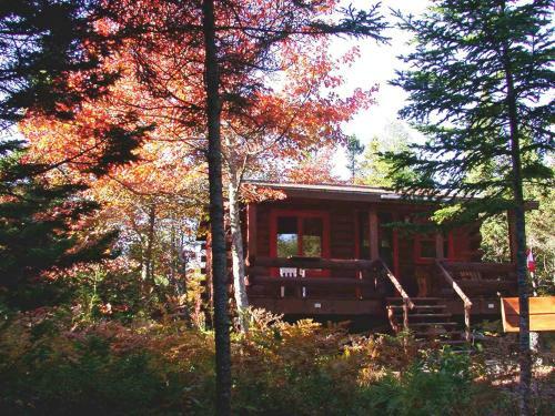 Vipilodge