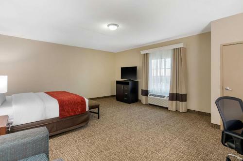 Hotel La Quinta Inn & Suites Cedar Hill