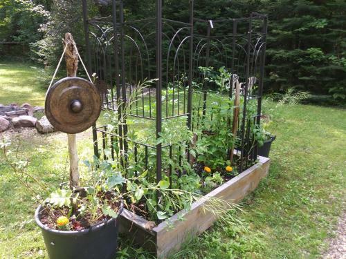 Naturecures Nest