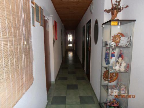 Hostal Zelen� Dom