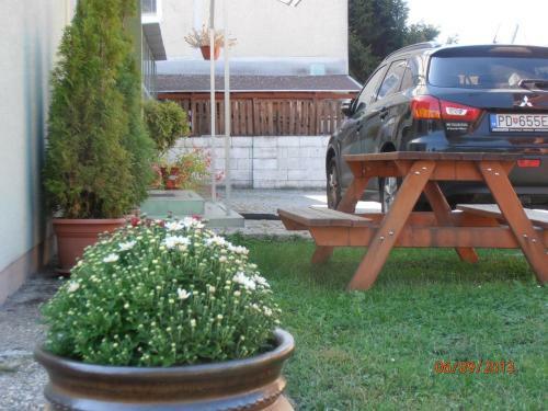 Hostal Zelen� Dom