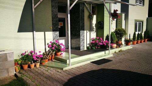 Hostal Zelen� Dom