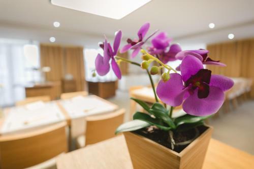 Hotel Village Resort Hanuliak