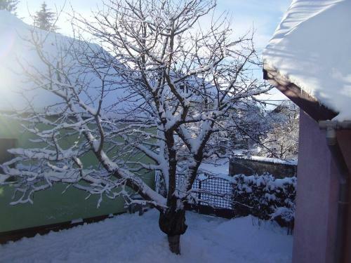 Apartamento Priv�t Erika