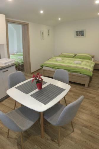 Hostal Apartment Albi