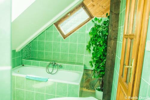 Hostal Penzion Vila Milica