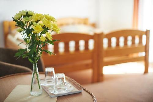 Hostal Penzion Vila Milica