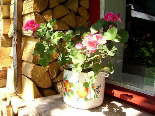 Retro Cottage Osturna