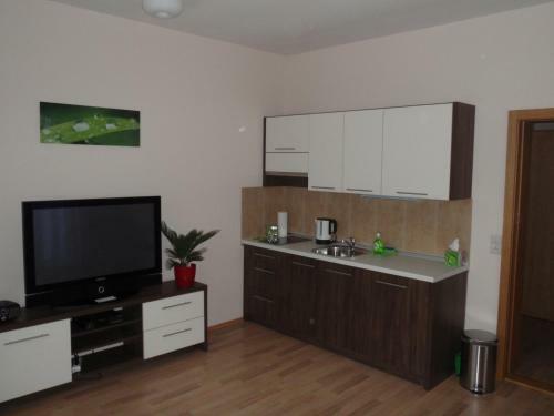 Hostal Apartmanovy Penzion Park