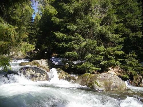 Apartm�ny Tatry Jasn�