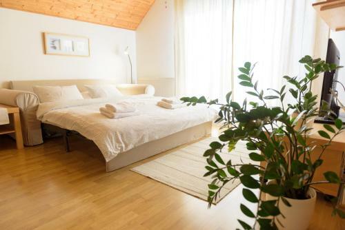 Apartamentos ?lt� Dom