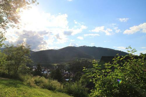 Drevenica Lipka Na Vrskoch