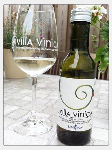 Bed & Breakfast Villa Vinica