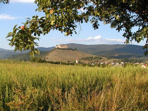 Hostal Farebn� Penzi�n