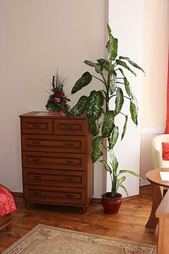 Hostal Olymp Penzion