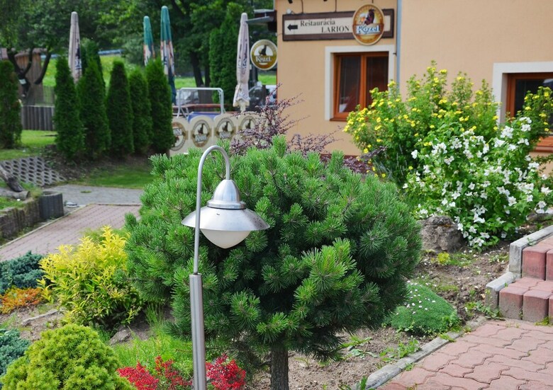 Hostal Penzion Larion Wellness