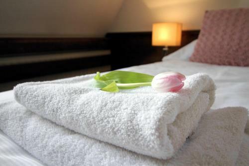 Hostal Penzion & Wellness Zoborska