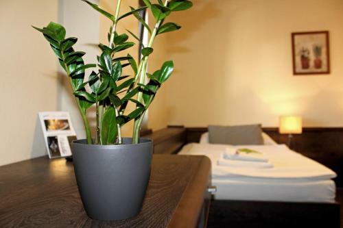 Hostal Penzion & Wellness Zoborska
