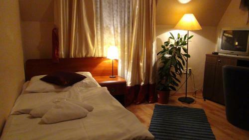 Hostal Penzion Vila Aria