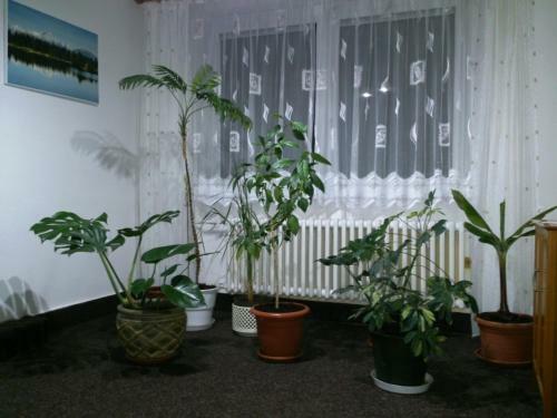 Hostal Sunnystreet Guesthouse