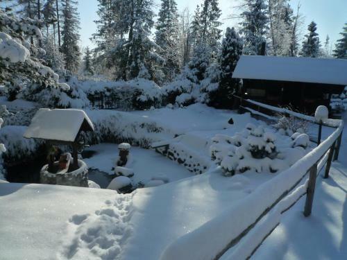 Hostal Penzion Pa?ick�