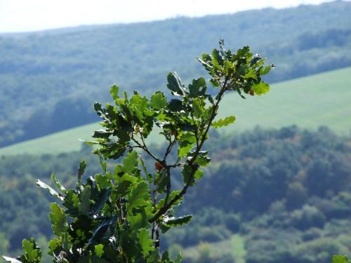 Hostal Penzi�n Julkin Dvor