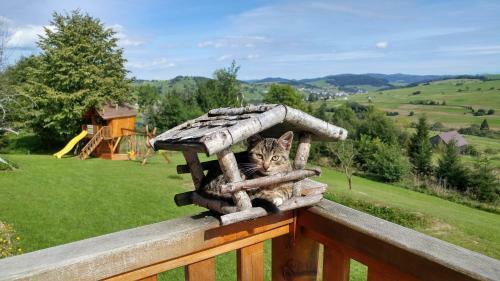 Lodge Star� Izba