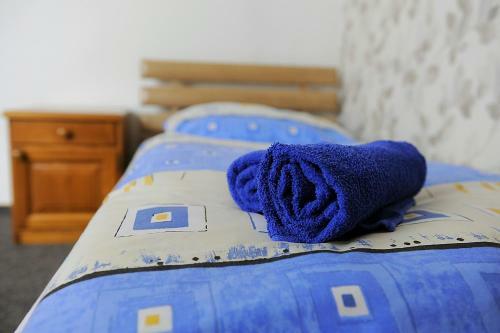 Hostal Penzion Blesk