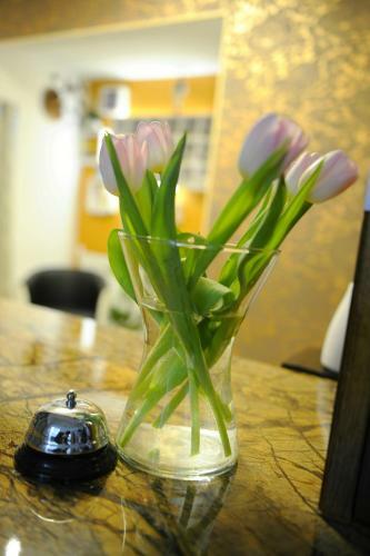 Hostal Penzion Blesk