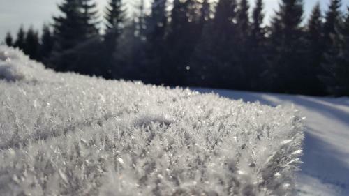 Apartamento Chata Alpina