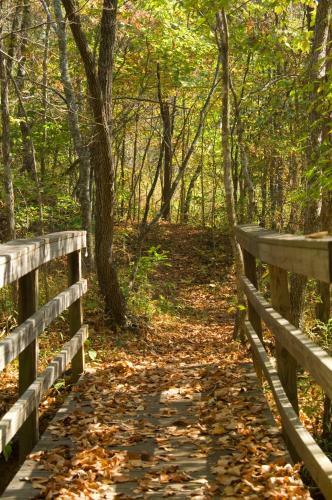 Hotel Brasstown Valley Resort & Spa