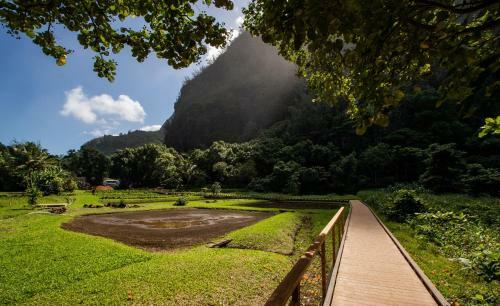 Apartamentos Hanalei Colony Resort