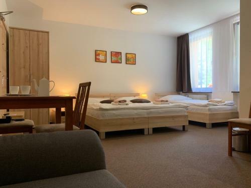 Horsk� Hotel Lopu?n� Dolina
