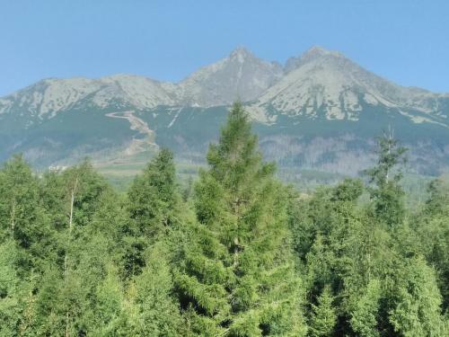 Hotel Sorea Hutn�k I.