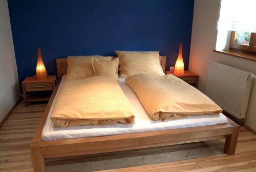 Hostal Penzion U Pejtrika